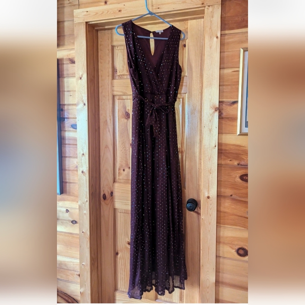 Baltic Born Plum Maxi Dress with Silver Sequins that catch the light. - Picture 2 of 6
